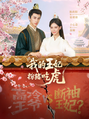 我的王妃扮猪吃虎（79集）百度在线观看