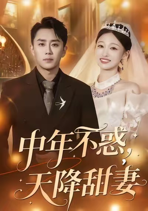 中年不惑,天降甜妻(60集) 中年不惑,天降甜妻(60集)好看的短剧
