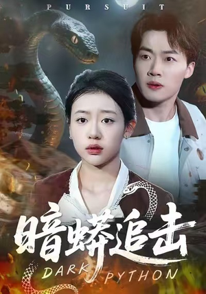 暗蟒追击(35集) 暗蟒追击(35集)解说