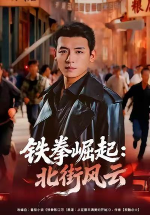 铁拳崛起:北街风云(80集) 铁拳崛起:北街风云(80集)全集在线看
