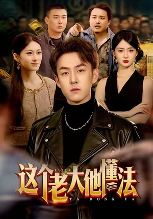 这个老大他懂法（100集）短剧在线看
