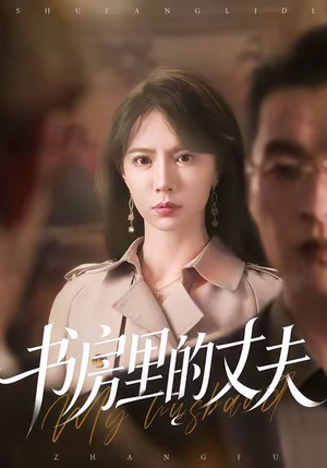 书房里的丈夫（100集）让你一口气看完