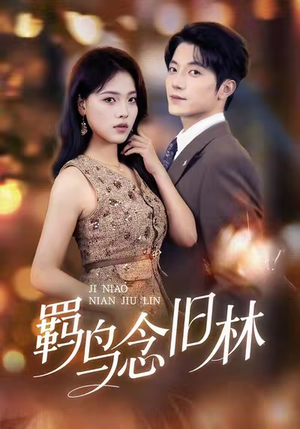 羁鸟念旧林(60集) 羁鸟念旧林(60集)最新上映的短剧