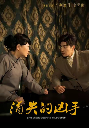 消失的凶手（48集）在线免费观影