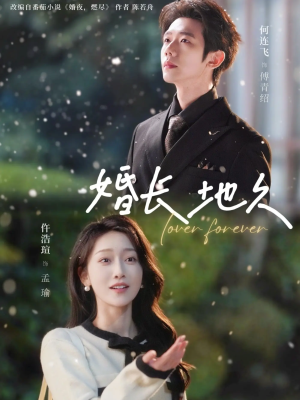 婚长地久(84集) 婚长地久(84集)最后的大结局