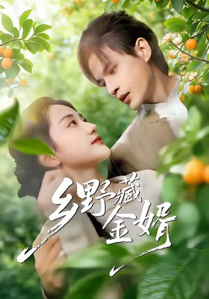 乡野藏金婿（50集）好看又上头短剧