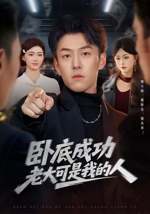 卧底成功老大可是我的人(99集) 卧底成功老大可是我的人(99集)短剧推荐更新中