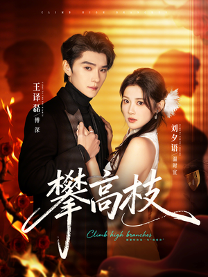 攀高枝（70集）经典老剧免费看
