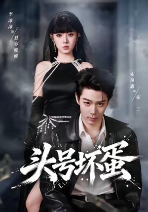 头号坏蛋（58集）全剧看到大结局