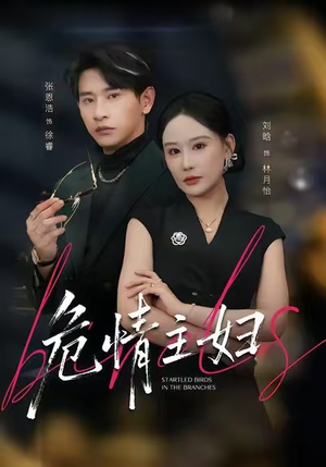 危情主妇(60集) 危情主妇(60集)一起追生活短剧