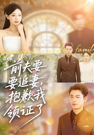 前夫要追妻，抱歉我领证了（81集）免费观看就是爽