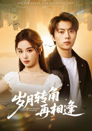 岁月转角再相逢(80集) 岁月转角再相逢(80集)热播短剧免费看