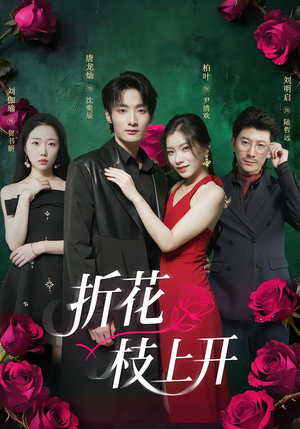 折花枝上开(51集) 折花枝上开(51集)短剧全集更精彩