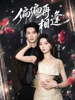 偏偏再相逢(54集) 偏偏再相逢(54集)第三季