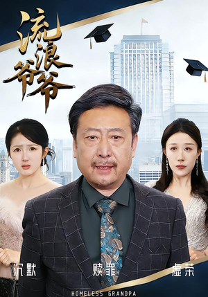 流浪爷爷（40集）黄月倩&蔡欣&杨玉洁流畅播放免费看