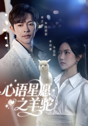 心语星愿之羊驼(60集) 心语星愿之羊驼(60集)一口气追完全集