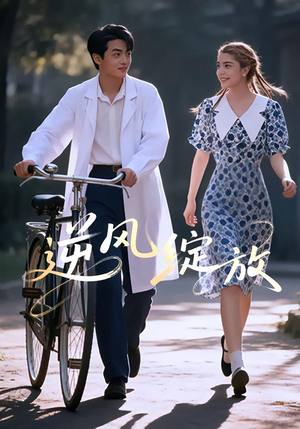 逆风绽放(55集) 逆风绽放(55集)全集免费