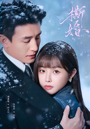 撕婚(23集) 撕婚(23集)免费短剧看全集