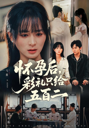 怀孕后，彩礼只给五百二（40集）短剧推荐上热门