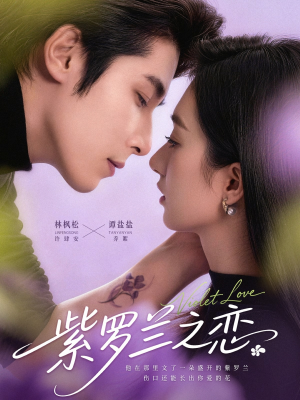 紫罗兰之恋（82集）红果短剧看全集