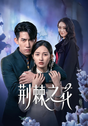 荆棘之花（100集）精彩短剧下载