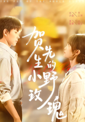 贺先生的小野玫瑰（99集）好看的短剧电影