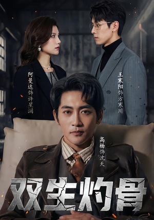 双生灼骨（60集）好看的短剧分享
