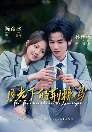 月光下的荆棘鸟（80集）去哪里看