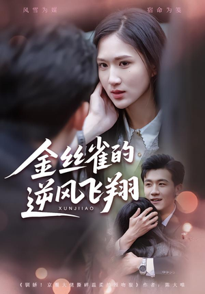 金丝雀的逆风飞翔（80集）女主谁演的