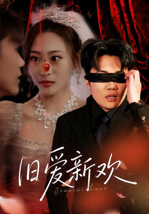 旧爱新欢(48集) 旧爱新欢(48集)1-102集