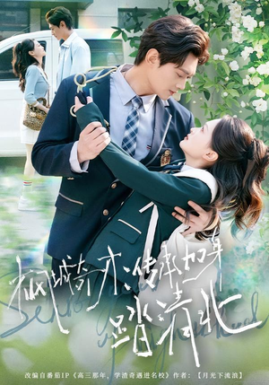 枫城奇才：传承加身踏清北（80集）女主角是谁