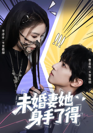 未婚妻她身手了得（50集）在线看