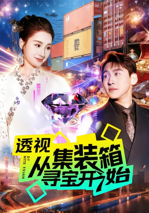 透视从集装箱寻宝开始（117集）在线看完整版