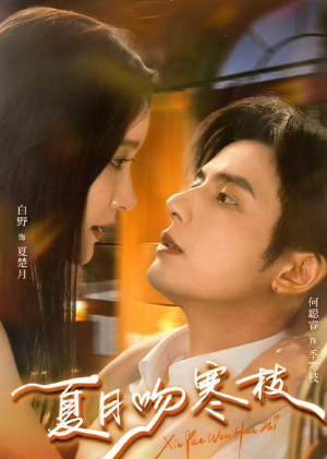 夏月吻寒枝（50集）看到大结局