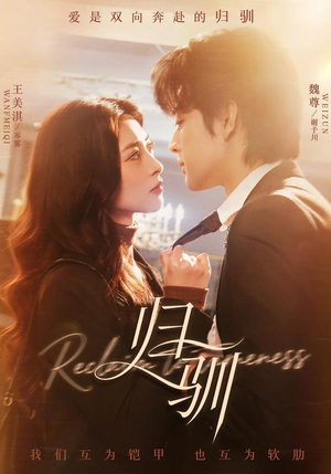 归驯（82集）短剧全集免费