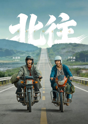 北往（61集）热门短剧分享