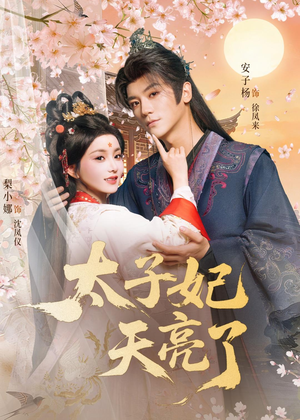 太子妃天亮了(80集) 太子妃天亮了(80集)免费短剧合集