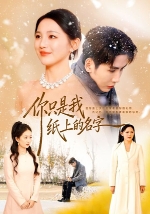 你只是我纸上的名字(68集) 你只是我纸上的名字(68集)免费看全网短剧