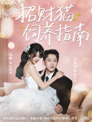 招财猫饲养指南（92集）360网盘观看