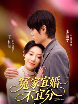冤家宜婚不宜分(80集) 冤家宜婚不宜分(80集)第一集