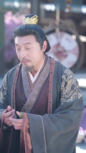 入玄成仙，从不当赘婿开始（80集）短剧上头又好看