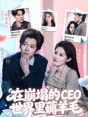 在崩塌的CEO世界里薅羊毛（70集）高分推荐免费看