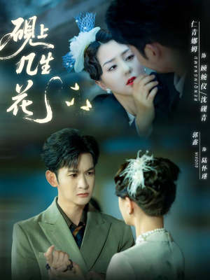 砚上几生花（62集）短剧太精彩