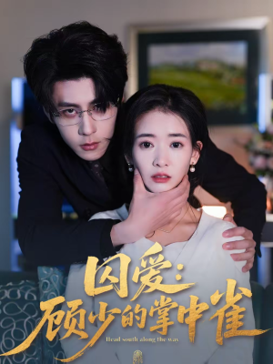 囚爱:顾少的掌中雀(70集) 囚爱:顾少的掌中雀(70集)短剧爆款推荐