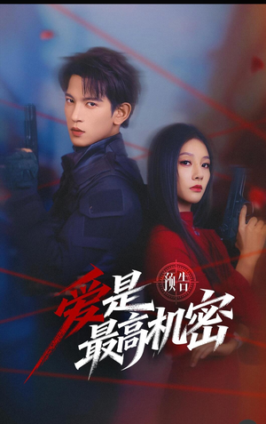 爱是最高机密（24集）免费观看全集