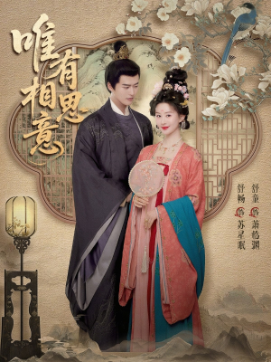 唯有相思意（100集）在哪里可以看