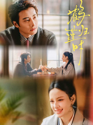 鹤归瑾时（81集）每日分享短剧