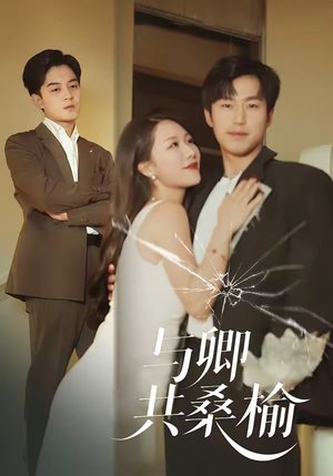 与卿共桑榆（63集）在线观看完整版