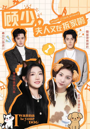 顾少,夫人又在拆家啦(78集) 顾少,夫人又在拆家啦(78集)更新时间