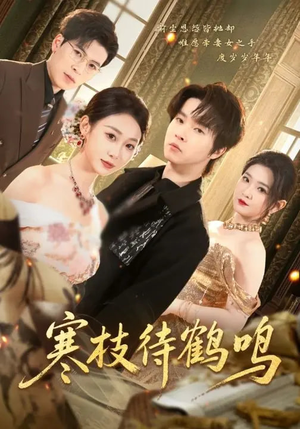 寒枝待鹤鸣（70集）免费短剧大全